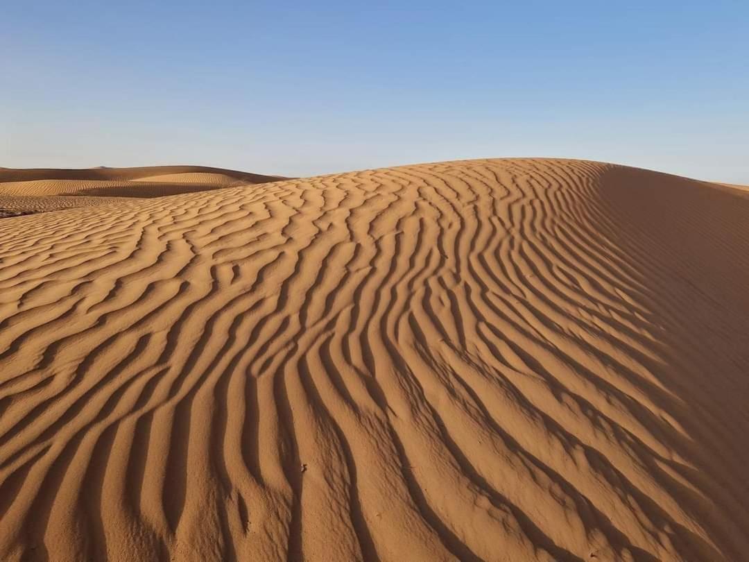Bivouac Camel Trips Hotel Merzouga Exterior photo