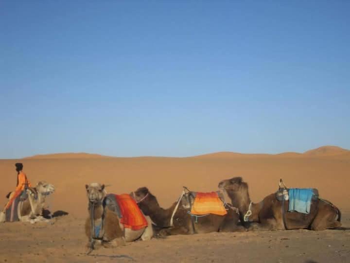 Bivouac Camel Trips Hotel Merzouga Exterior photo