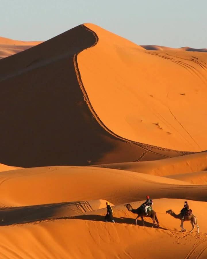 Bivouac Camel Trips Hotel Merzouga Exterior photo